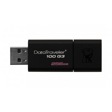 KINGSTON 256G USB3.0 Flash Disk